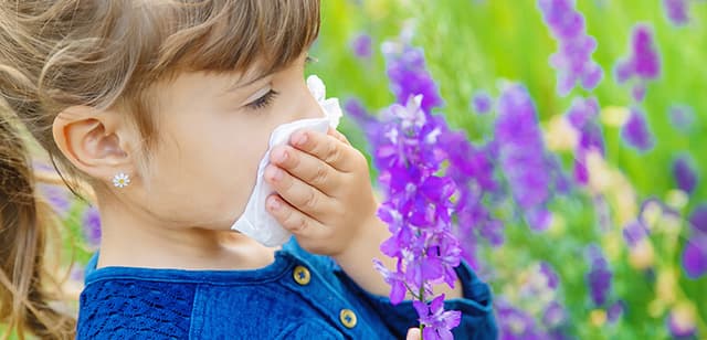 Alergias infantiles
