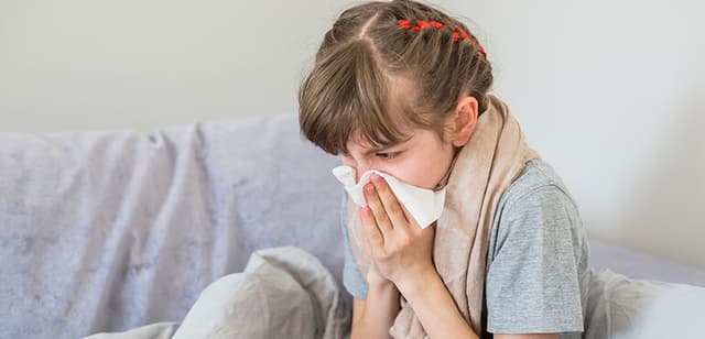 Gripe (influenza)